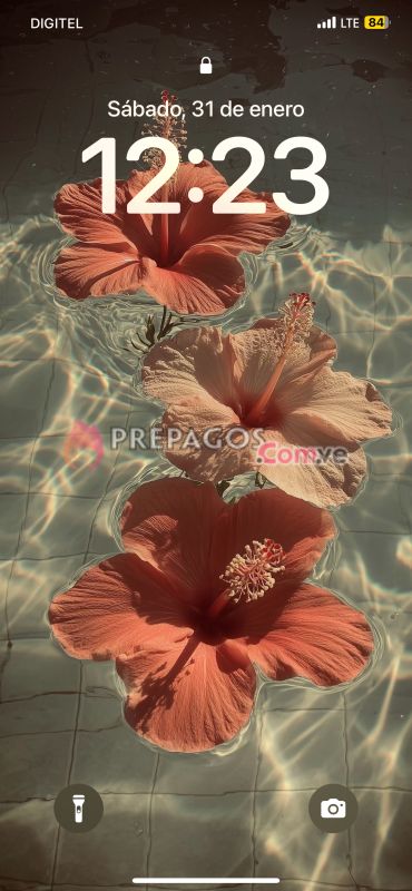 Prepagos - Foto Banner