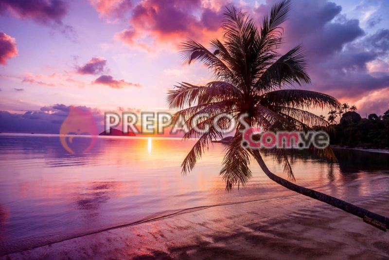 Prepagos - Foto Banner