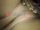 Foto de perfil de Ivanna - Prepagos