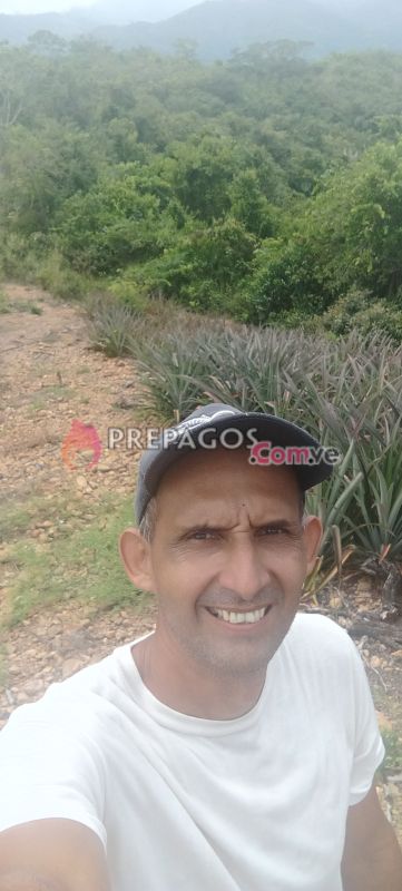 Foto de perfil de Franklin2785- Prepagos